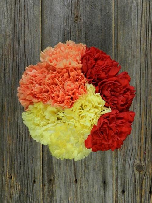 FALL PACK - RED, ORANGE, & YELLOW ASSORTED CARNATIONS